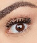 Classic False Eyelashes - Giselle #1