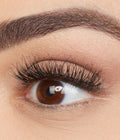Classic False Eyelashes - Giselle #1
