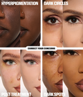 The Undereye Buff Brush Kit - Makeup Tool